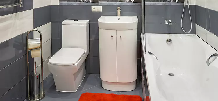Hansgrohe Shaving Mirror Alafaya