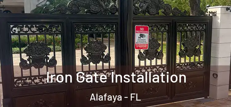 Iron Gate Installation Alafaya - FL