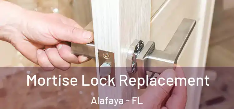 Mortise Lock Replacement Alafaya - FL