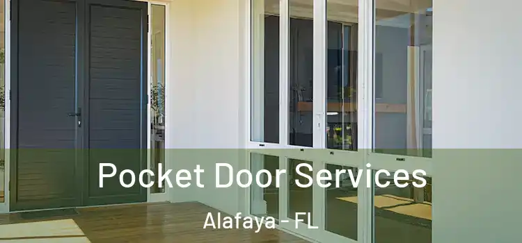  Pocket Door Services Alafaya - FL